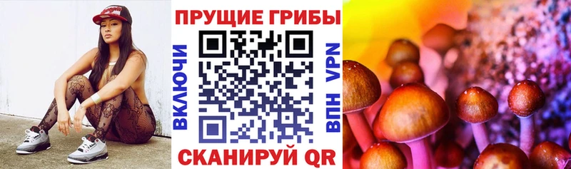 Псилоцибиновые грибы Psilocybine cubensis  купить наркотик  Яхрома 