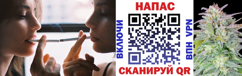 Марихуана сатива  Яхрома 